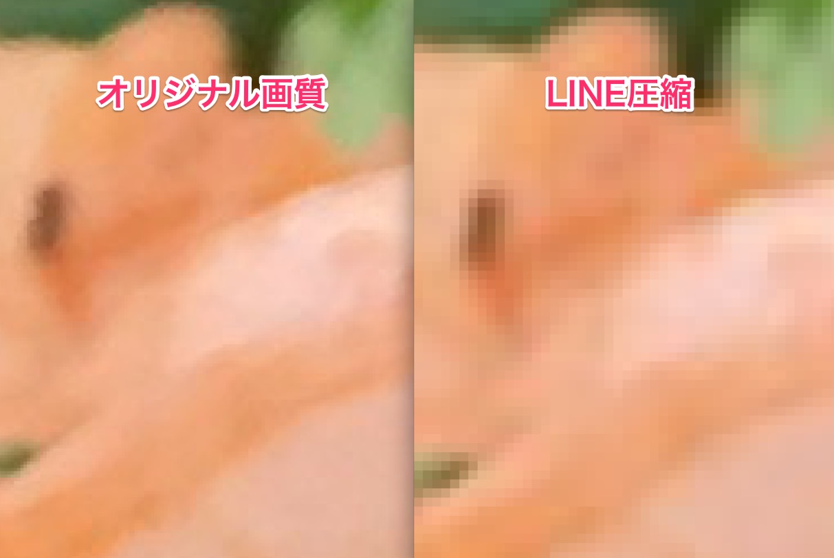 LINE-Image-Quality-05